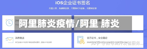 阿里肺炎疫情/阿里 肺炎