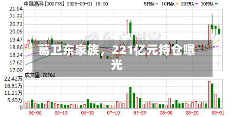 葛卫东家族	，221亿元持仓曝光-第2张图片