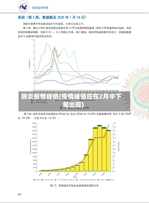 肺炎疫情峰值(疫情峰值应在2月中下旬出现)-第2张图片