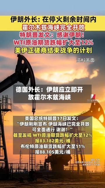 德国外长：伊朗应立即开放霍尔木兹海峡