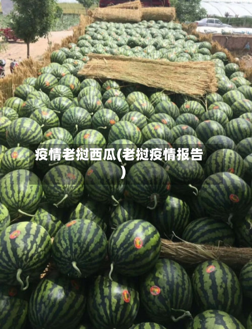 疫情老挝西瓜(老挝疫情报告)