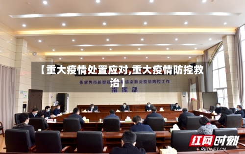 【重大疫情处置应对,重大疫情防控救治】-第2张图片