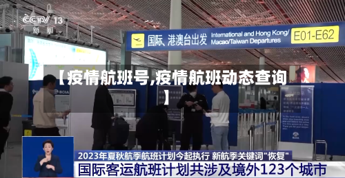 【疫情航班号,疫情航班动态查询】