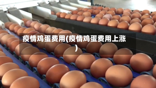 疫情鸡蛋费用(疫情鸡蛋费用上涨)-第2张图片