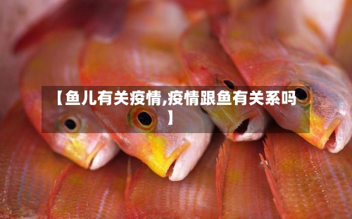 【鱼儿有关疫情,疫情跟鱼有关系吗】