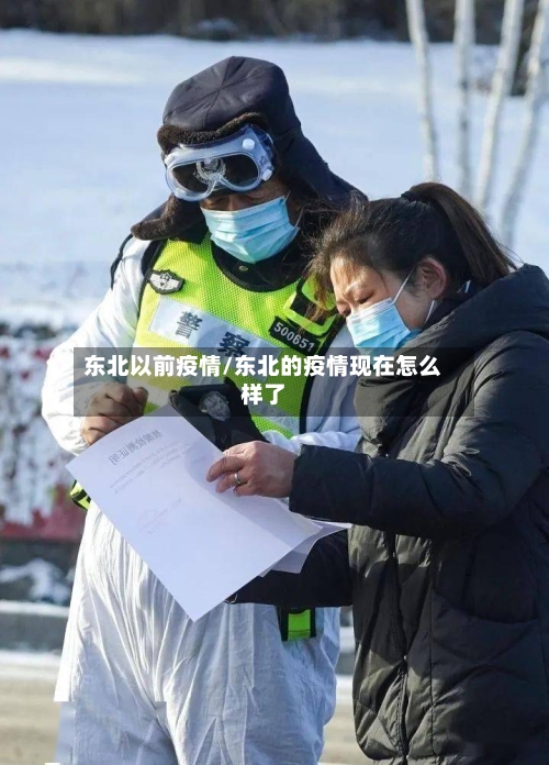 东北以前疫情/东北的疫情现在怎么样了-第2张图片