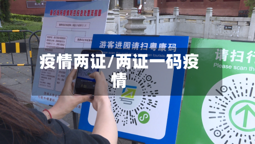 疫情两证/两证一码疫情-第3张图片