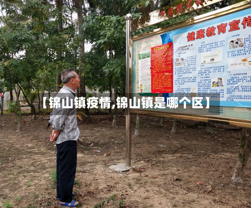 【锦山镇疫情,锦山镇是哪个区】