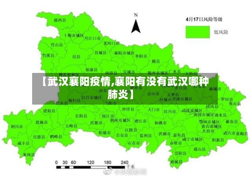 【武汉襄阳疫情,襄阳有没有武汉哪种肺炎】-第2张图片