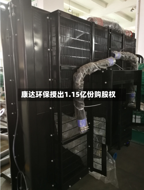 康达环保授出1.15亿份购股权