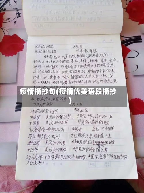 疫情摘抄句(疫情优美语段摘抄)-第2张图片