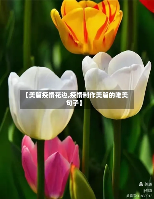 【美篇疫情花边,疫情制作美篇的唯美句子】