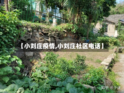 【小刘庄疫情,小刘庄社区电话】