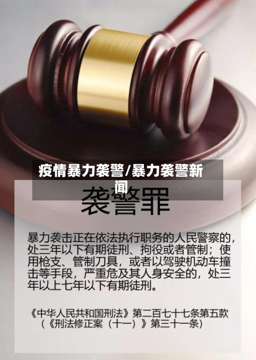 疫情暴力袭警/暴力袭警新闻-第3张图片