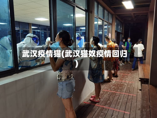 武汉疫情猫(武汉猫奴疫情回归)-第3张图片