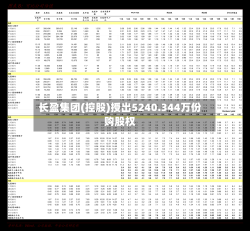 长盈集团(控股)授出5240.344万份购股权-第2张图片