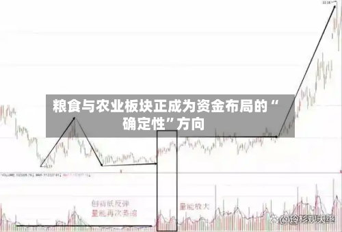 粮食与农业板块正成为资金布局的“确定性”方向