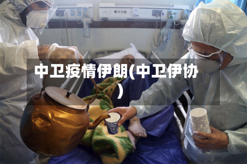 中卫疫情伊朗(中卫伊协)-第2张图片