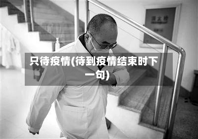 只待疫情(待到疫情结束时下一句)-第2张图片