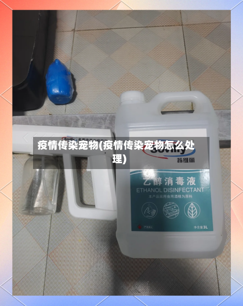 疫情传染宠物(疫情传染宠物怎么处理)