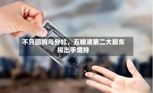 不只回购与分红，五粮液第二大股东拟出手增持-第3张图片