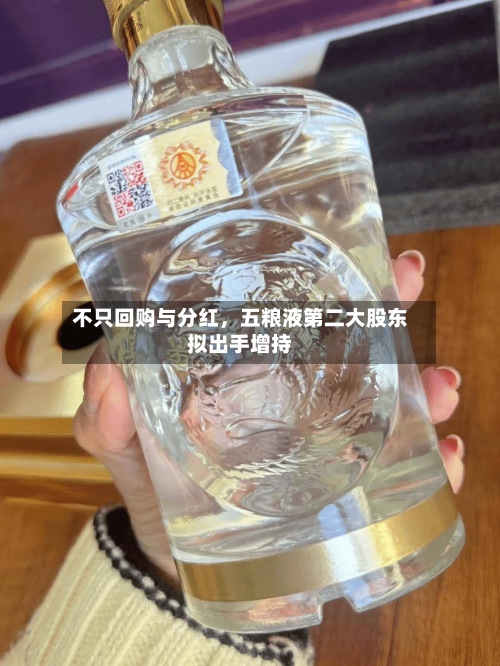 不只回购与分红，五粮液第二大股东拟出手增持-第2张图片