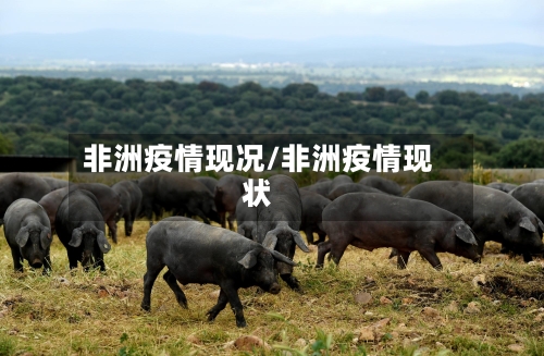 非洲疫情现况/非洲疫情现状