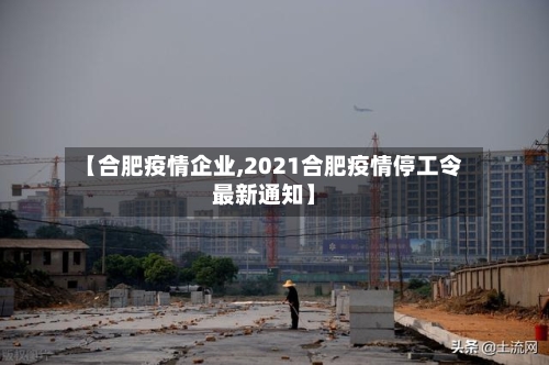 【合肥疫情企业,2021合肥疫情停工令最新通知】-第2张图片