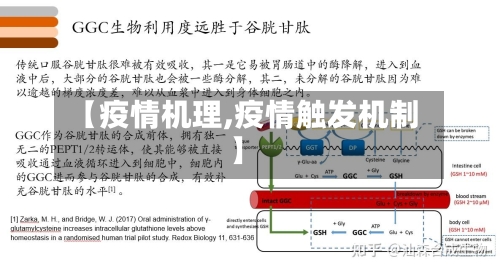 【疫情机理,疫情触发机制】-第2张图片