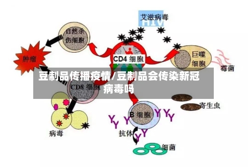 豆制品传播疫情/豆制品会传染新冠病毒吗-第3张图片